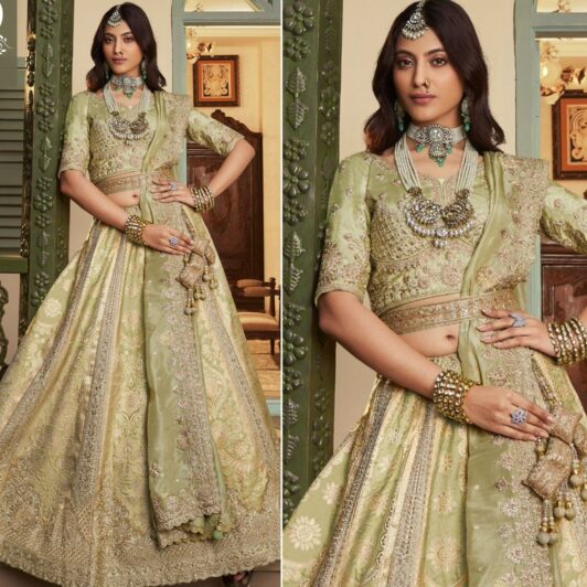 PREMIUM BANARASI SILK LEHENGA PREORDER SPECIAL ROY10360