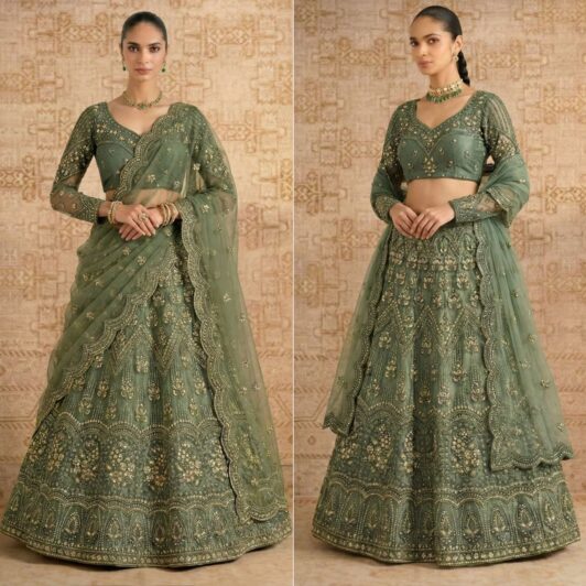 SOFT NET STONE WORK LEHENGA PREORDER SPECIAL ALI1084