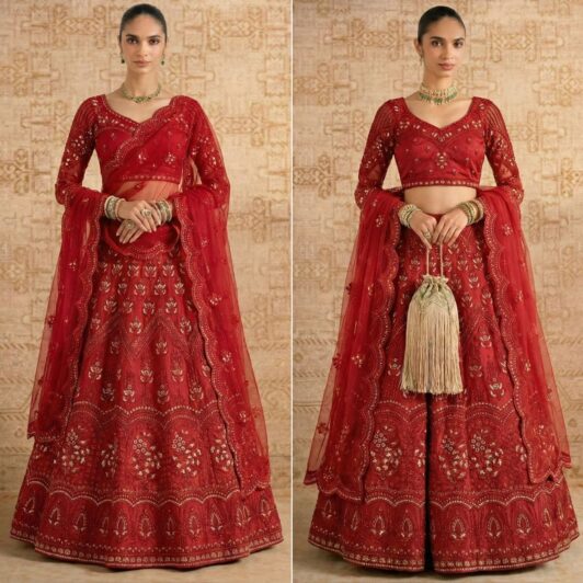 SOFT NET STONE WORK LEHENGA PREORDER SPECIAL ALI1084C